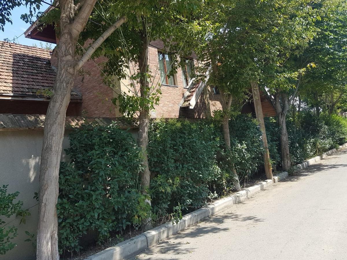 Вилла Rare House With Garden Тбилиси Экстерьер фото