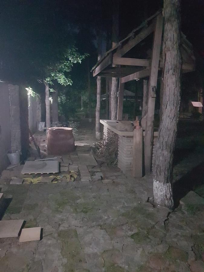 Вилла Rare House With Garden Тбилиси Экстерьер фото